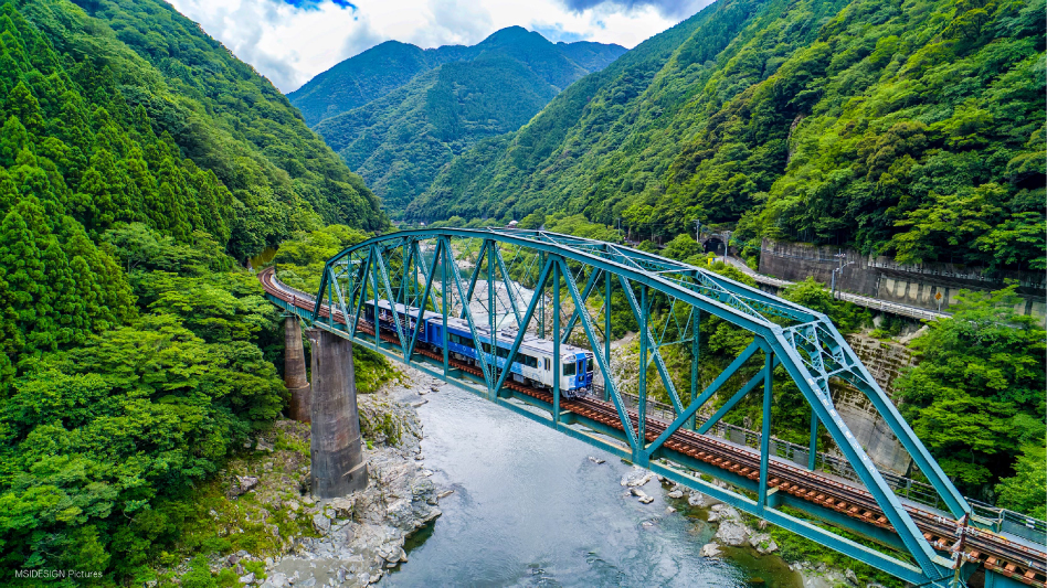 藍よしのがわ大歩危トロッコ