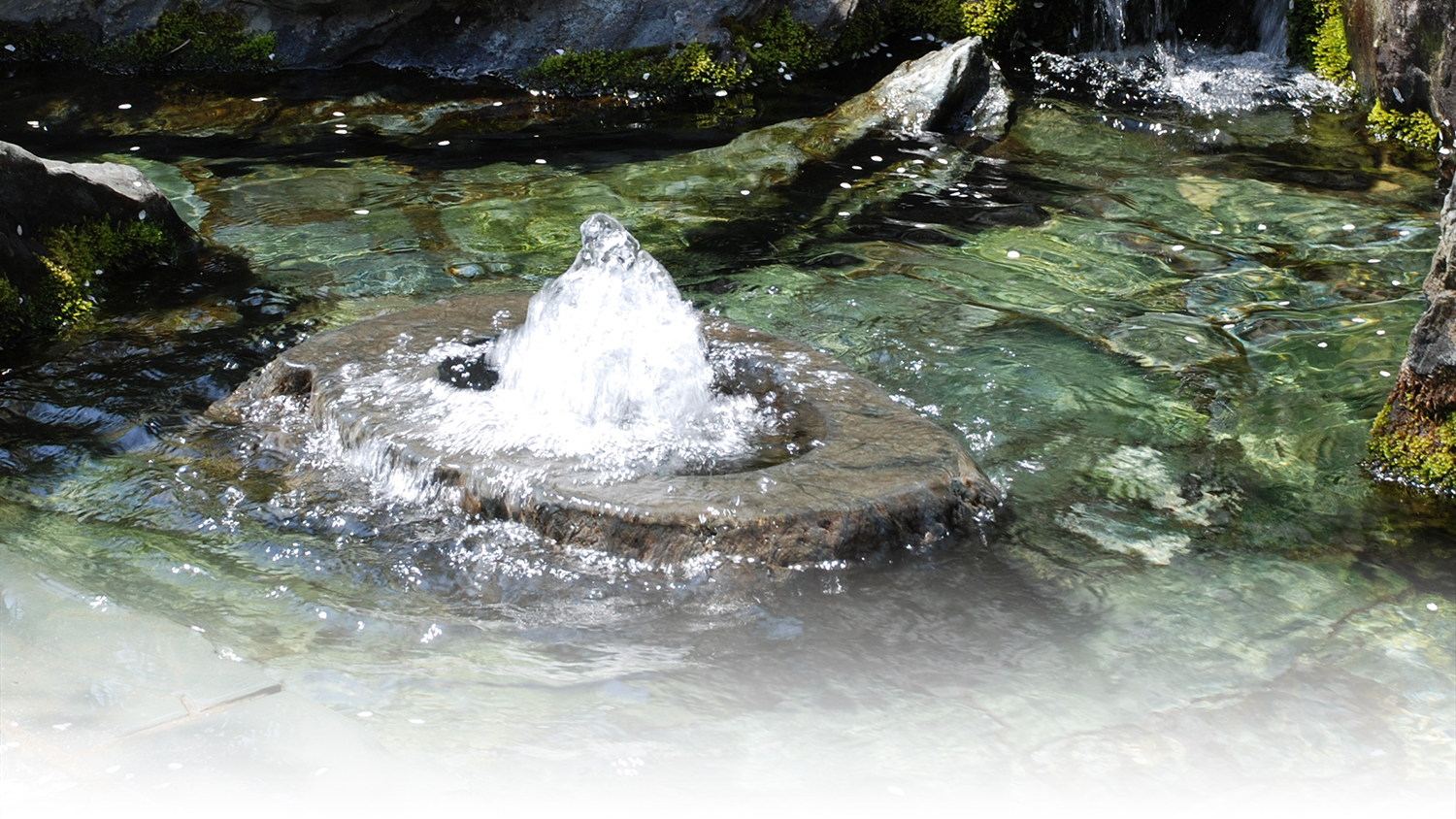 西条の水
