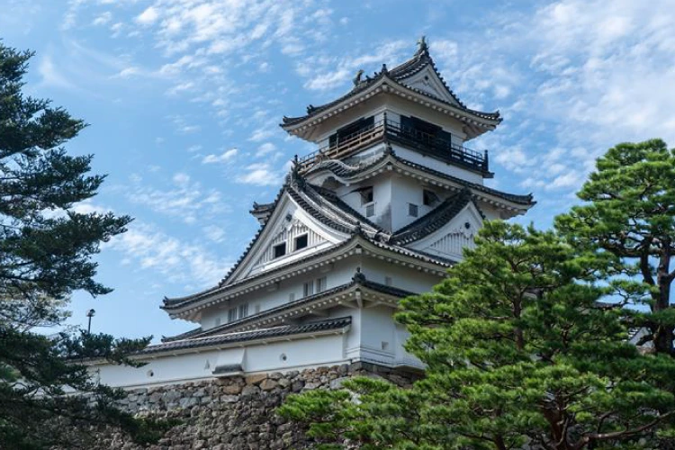 Kochi Castle：©高知県