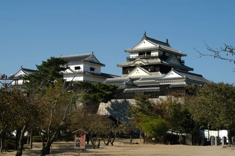 Matsuyama Castle：©いよ観ネット