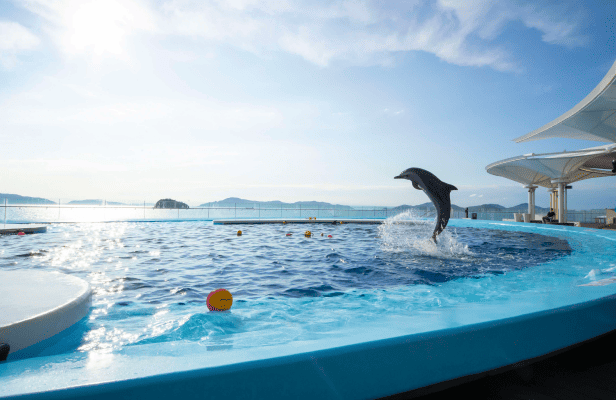 四国水族館