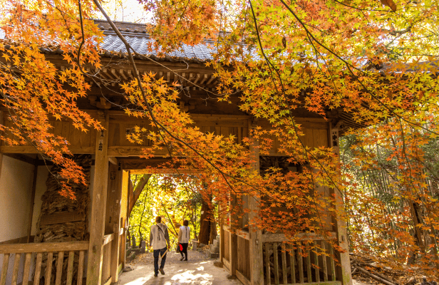 四国霊場第71番札所　弥谷寺