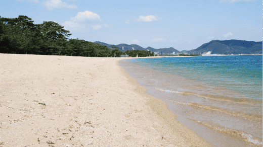 津田エリア