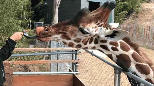 しろとり動物園