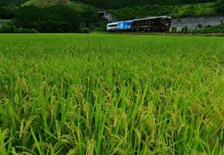 地域賞 今井様